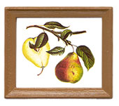 Dollhouse miniature FRAMED FRUIT PICTURES 4PCS.